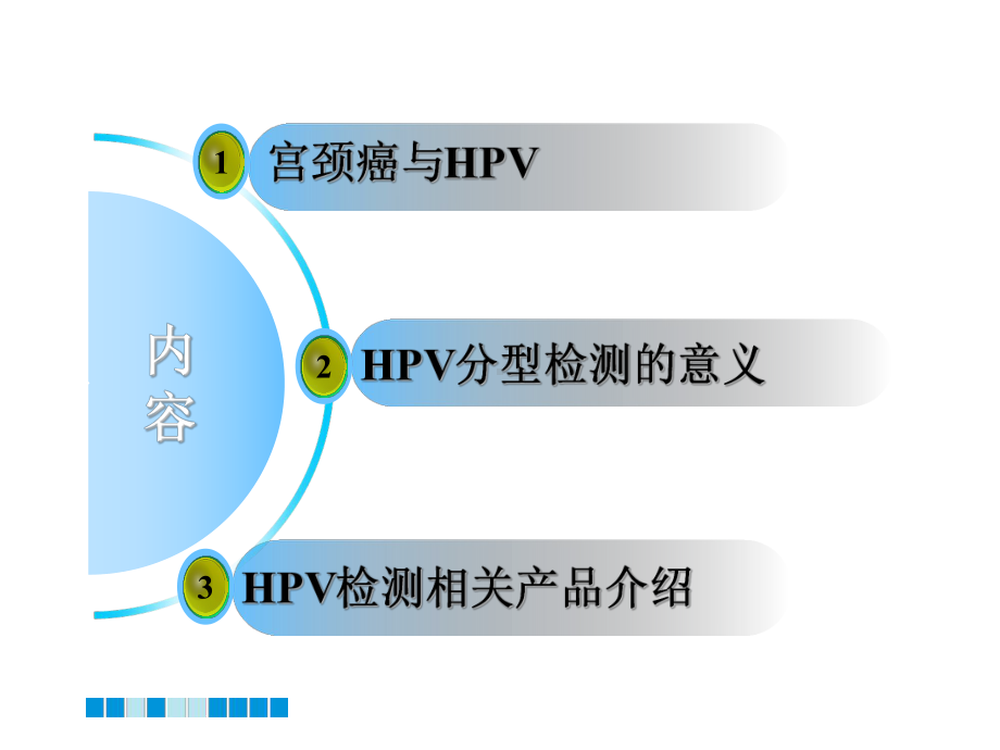 HPV分型检测的介绍-ppt课件.ppt_第2页