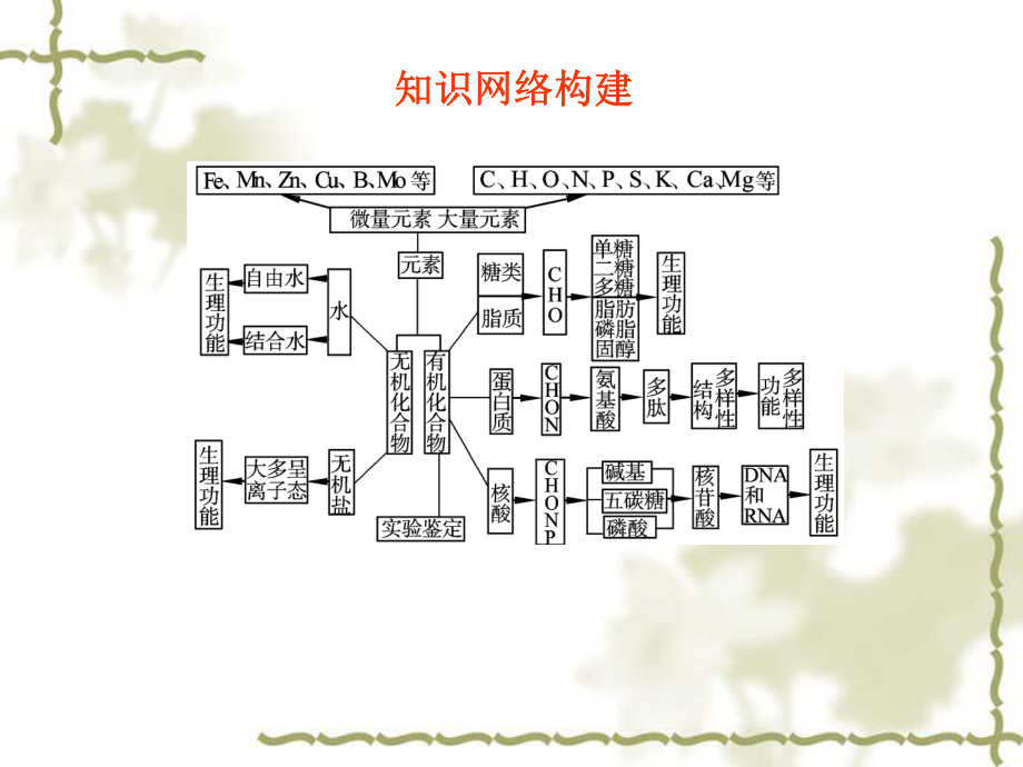 生物人教版必修一第2章-组成细胞的分子-PPT课件.ppt_第2页