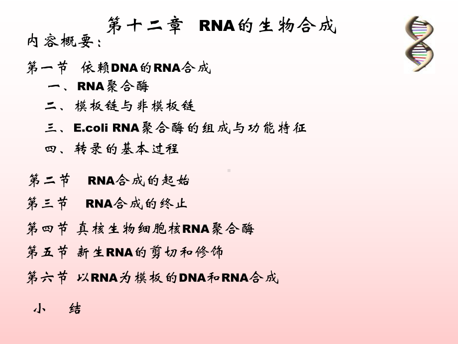 RNA合成2005.6 生物化学　教学课件.ppt_第1页