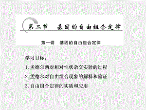 高一生物苏教版必修二第三章第二节第一讲基因的自由组合定律(1)精选教学PPT课件.ppt