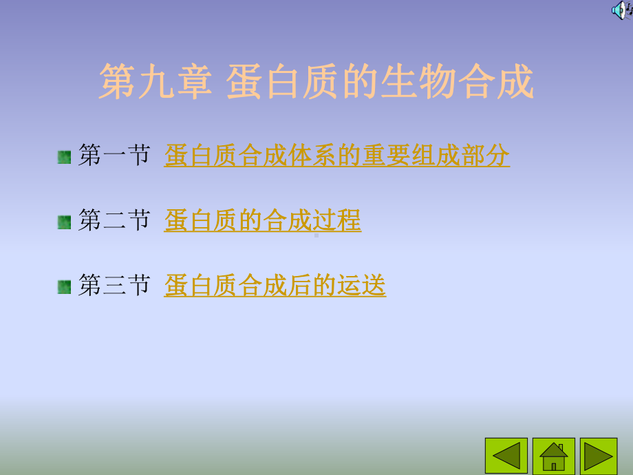 （农学课件）09 蛋白质的生物合成.ppt_第1页