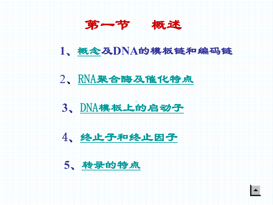 （资格考试）第十三章 RNA生物合成ppt模版课件.ppt_第2页