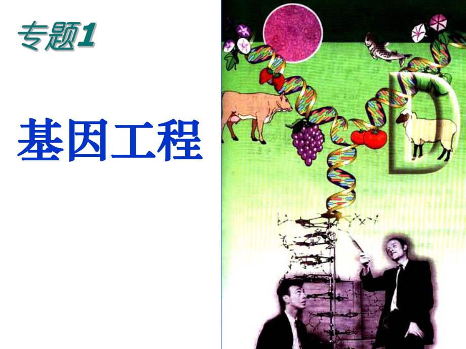 生物《DNA重组技术的基本工具》精品课件(新人教版选修3).ppt_第1页