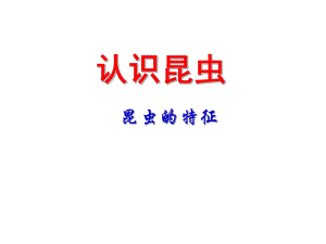 昆虫的特征-ppt课件.ppt