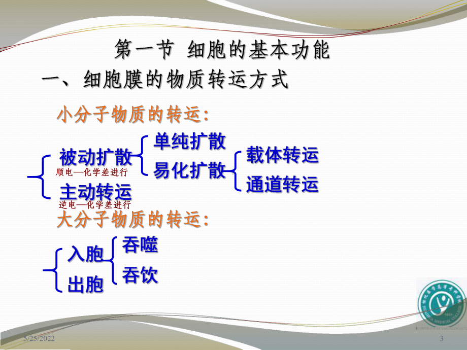 细胞膜的物质转运功能ppt课件(同名126023).ppt_第3页