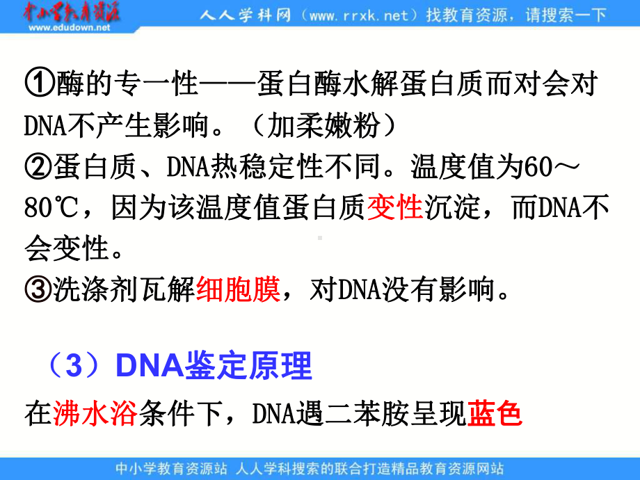 2013人教版选修一专题5《DNA和蛋白质技术》ppt课件1.ppt_第3页