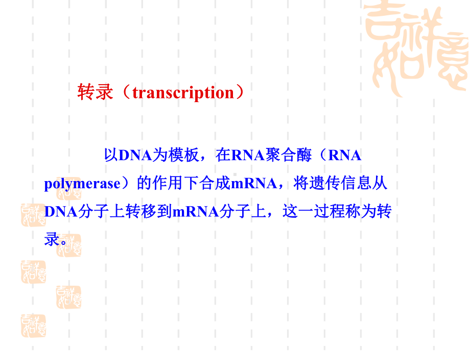 《动物生物化学》课件14 RNA的生物合成-转录.ppt_第3页