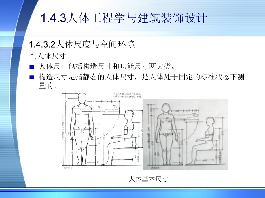 人体工程学与建筑装饰设计-PPT课件.ppt_第2页