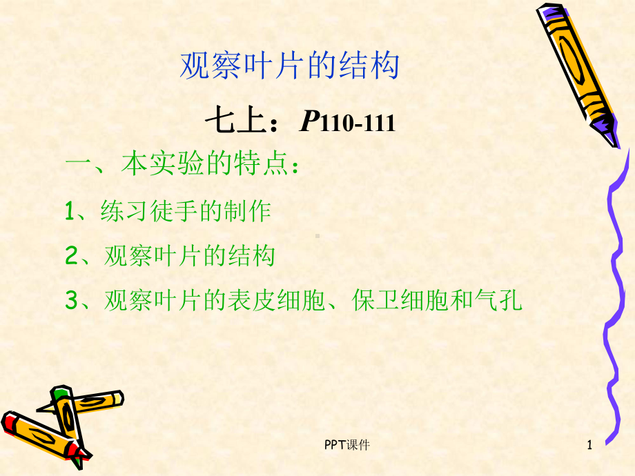 观察叶片的结构-ppt课件.ppt_第1页