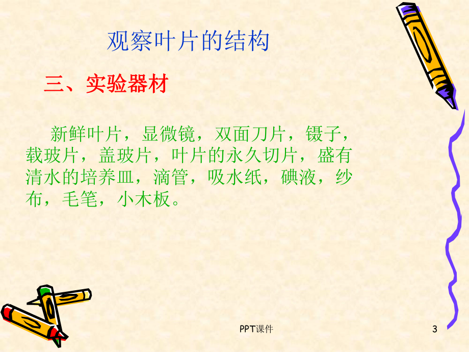 观察叶片的结构-ppt课件.ppt_第3页