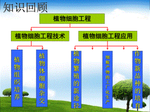 2.2.1-动物细胞培养和核移植技术-PPT课件.ppt