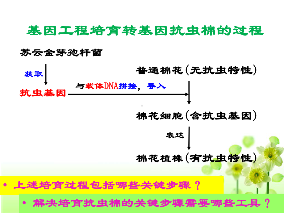 1.1 dna重组技术的基本工具 课件 人教版选修3 （共27张ppt）.ppt.ppt_第2页