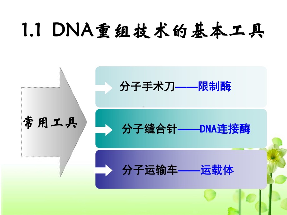 1.1 dna重组技术的基本工具 课件 人教版选修3 （共27张ppt）.ppt.ppt_第3页