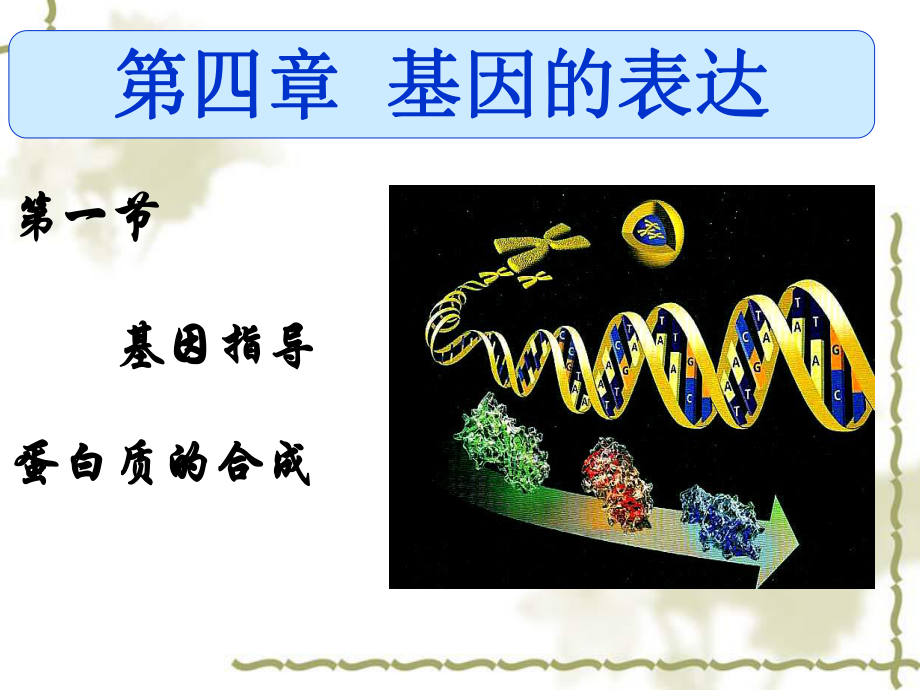 高中生物必修2遗传与进化《第1节基因指导蛋白质的合成》PPT课件(9).ppt_第1页