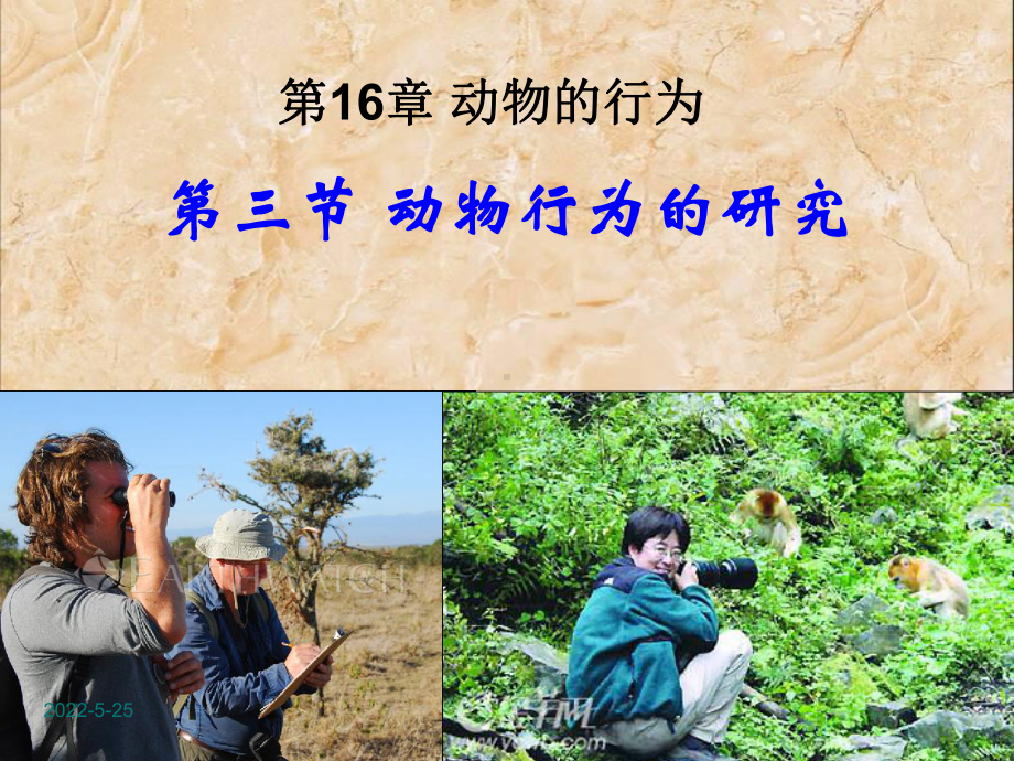 北师大版生物八年级上册16章3节动物行为的研究精品课件.ppt_第1页