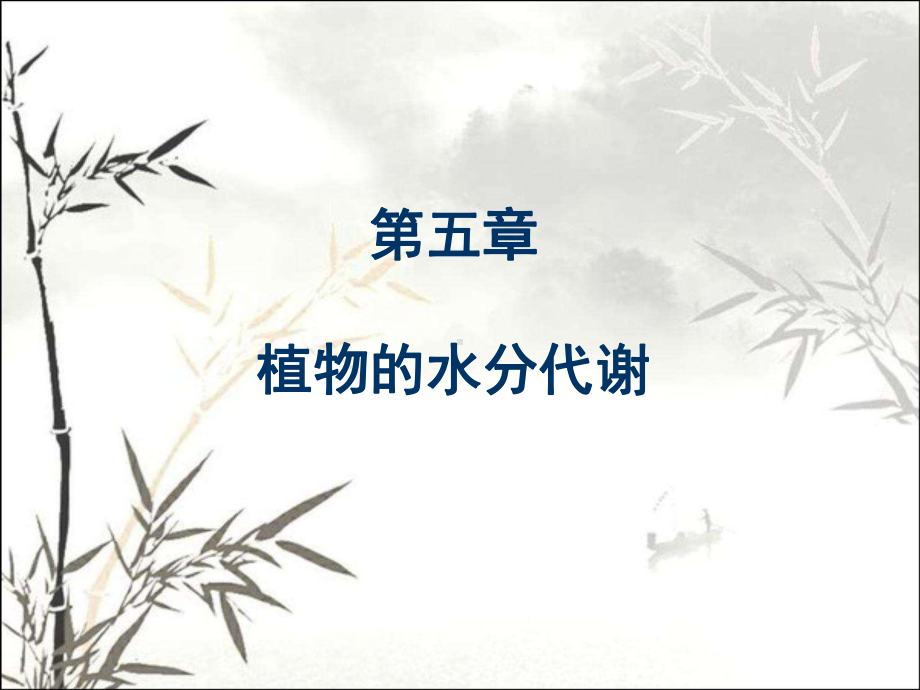 植物的水分代谢-PPT课件.ppt_第1页