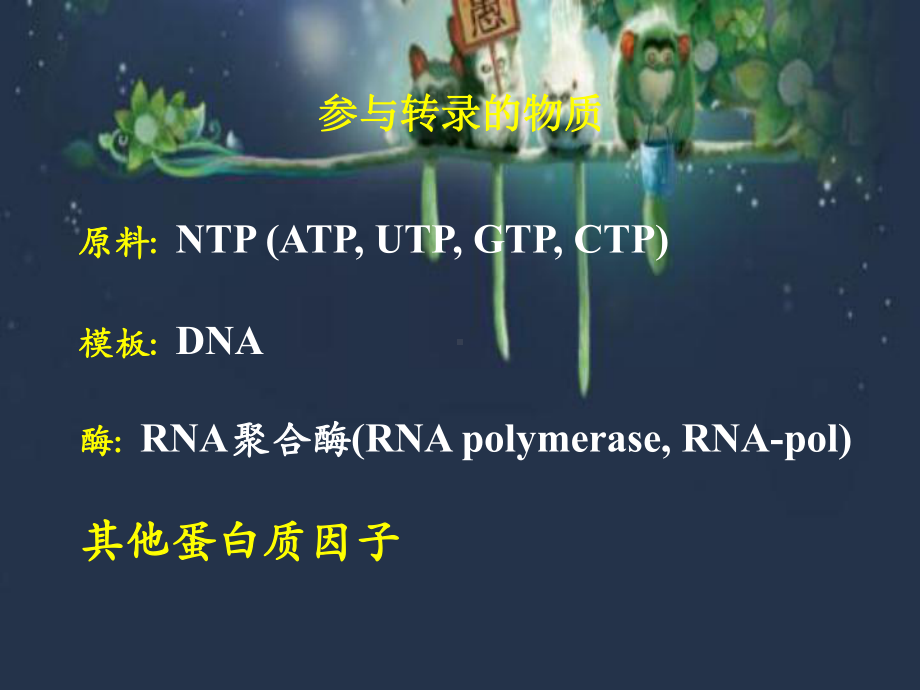 转录-PPT课件.ppt_第3页