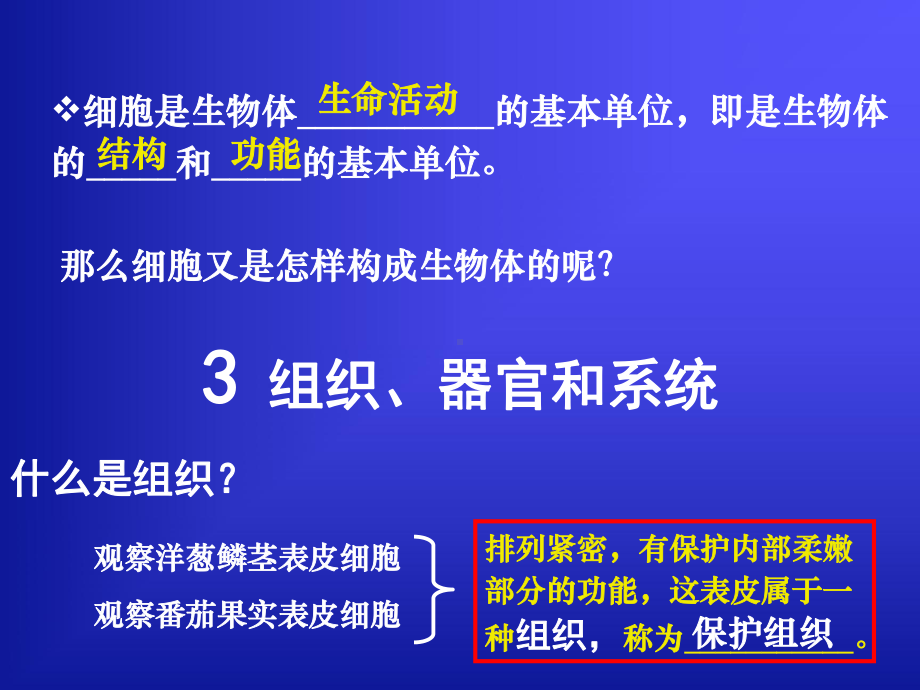 [课件]5-3组织`器官和系统.ppt_第1页