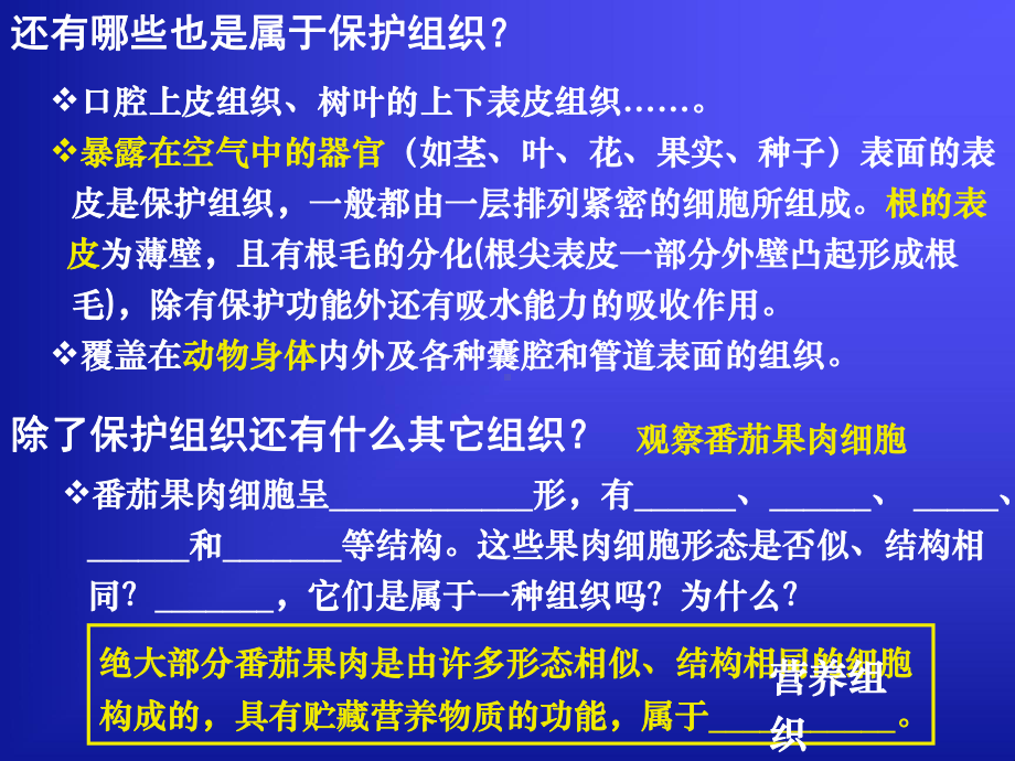 [课件]5-3组织`器官和系统.ppt_第2页