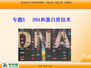 人教版生物选修一专题5《DNA和蛋白质技术》ppt课件.ppt