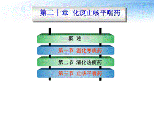 化痰止咳平喘药-ppt课件.ppt