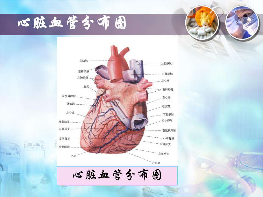 心脏疾病主要检测的指标PPT课件.ppt_第3页