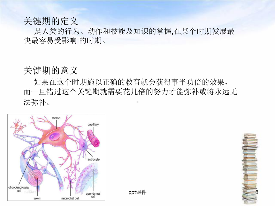 儿童生理发育里程碑-ppt课件.ppt_第3页