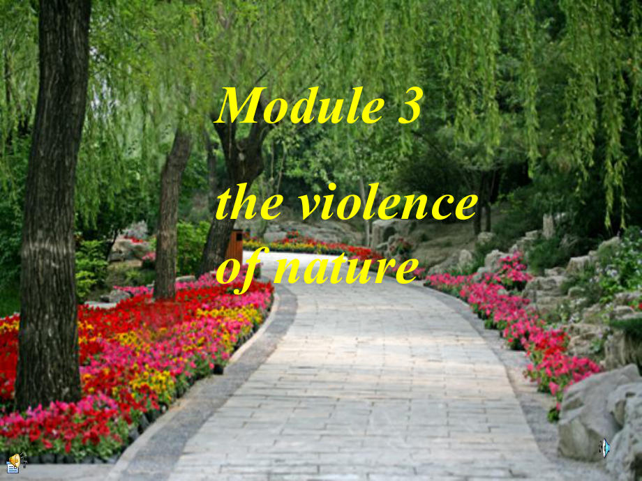 The-Violence-of-Nature课件.ppt_第1页