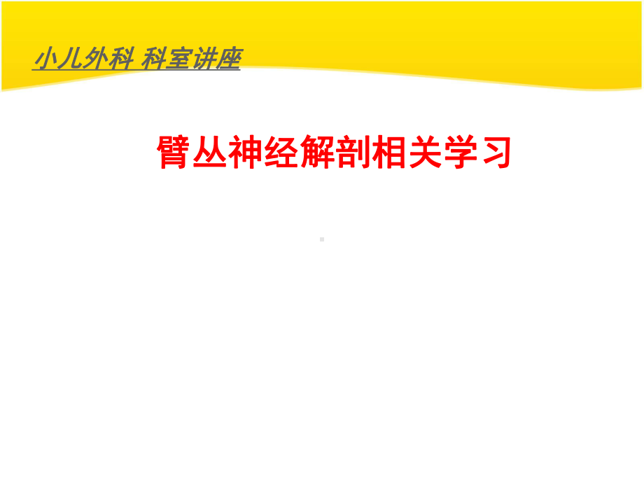 臂丛神经解剖-ppt课件.ppt_第1页