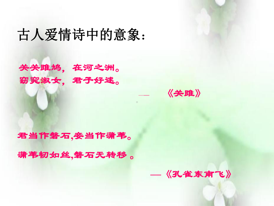 舒婷《致橡树》-ppt课件.ppt_第2页