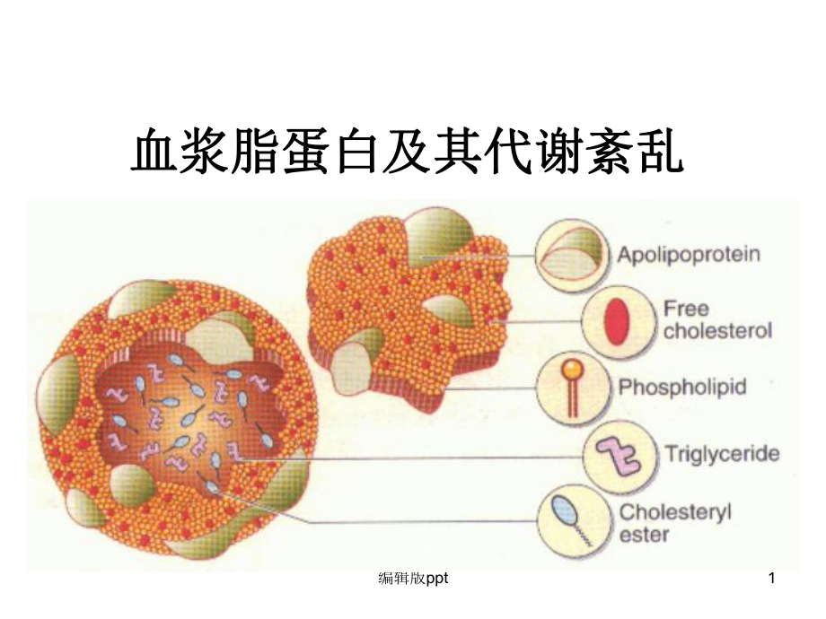 血浆脂蛋白及其代谢紊乱PPT课件.ppt_第1页