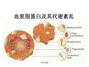 血浆脂蛋白及其代谢紊乱PPT课件.ppt