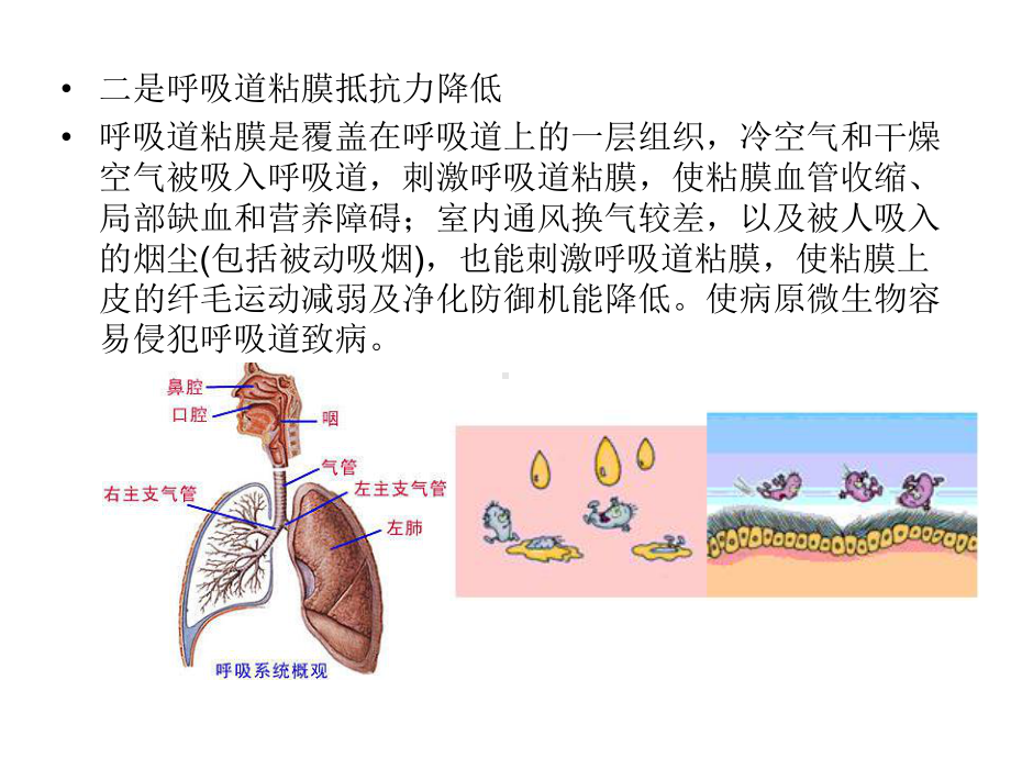 冬春季常见传染病预防知识课件.ppt_第3页