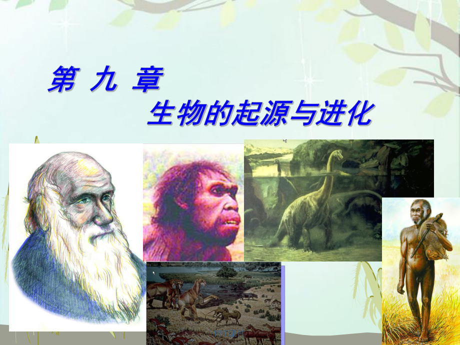 《普通生物学》生物的起源与进化-ppt课件.ppt_第1页