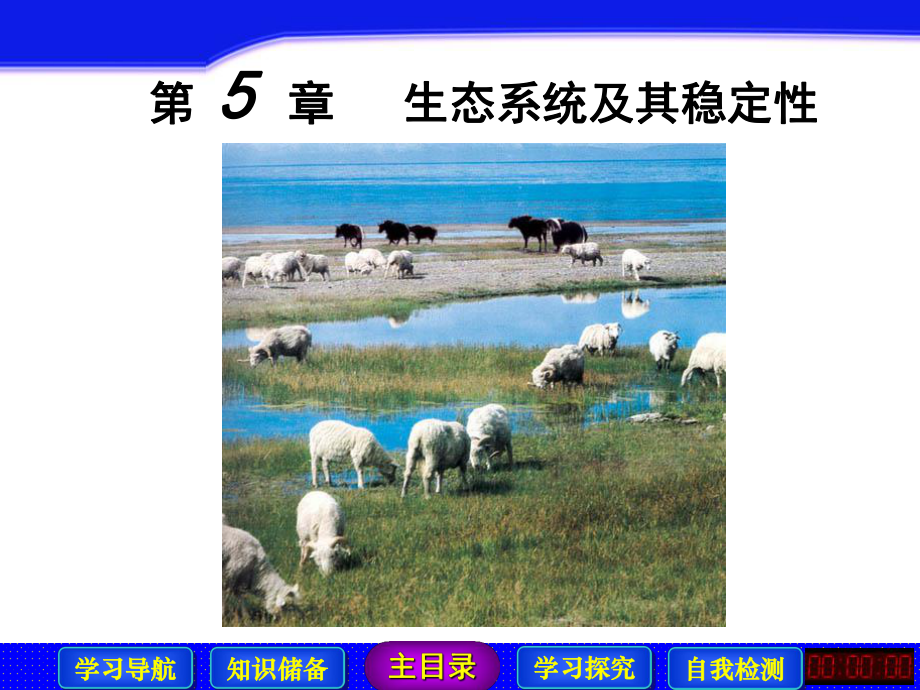 高中生物必修三生态系统的能量流动-ppt课件.ppt_第2页