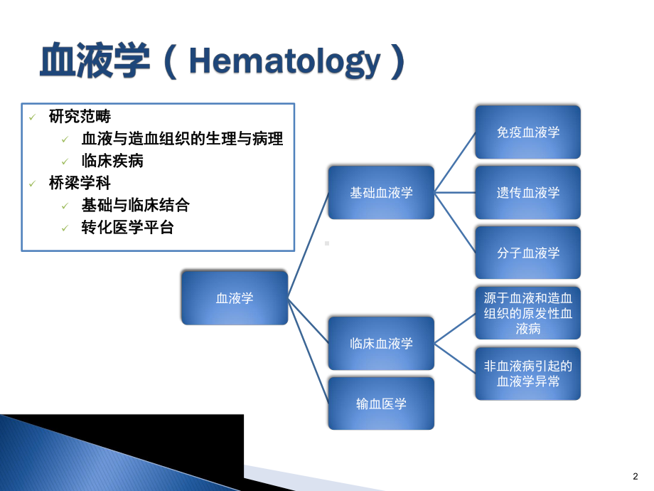 血液系统疾病总论PPT课件.ppt_第2页