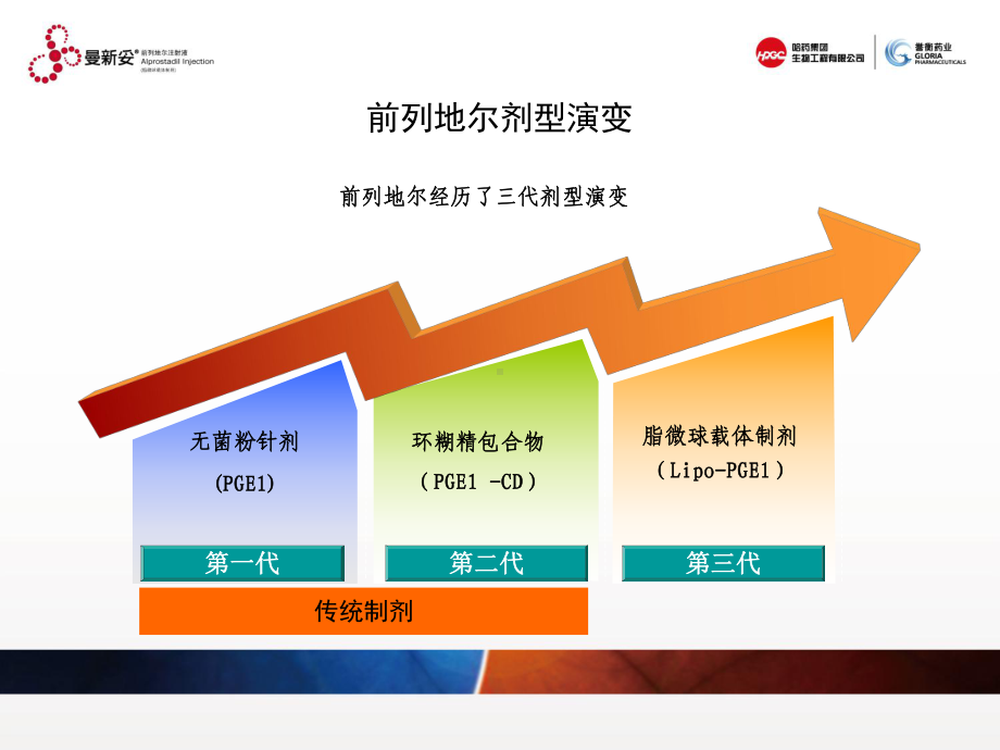 前列地尔PPT课件.ppt_第3页