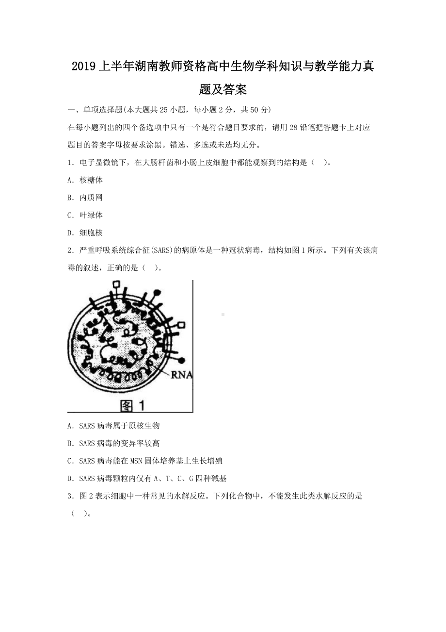 2019上半年湖南教师资格高中生物学科知识与教学能力真题及答案.doc_第1页