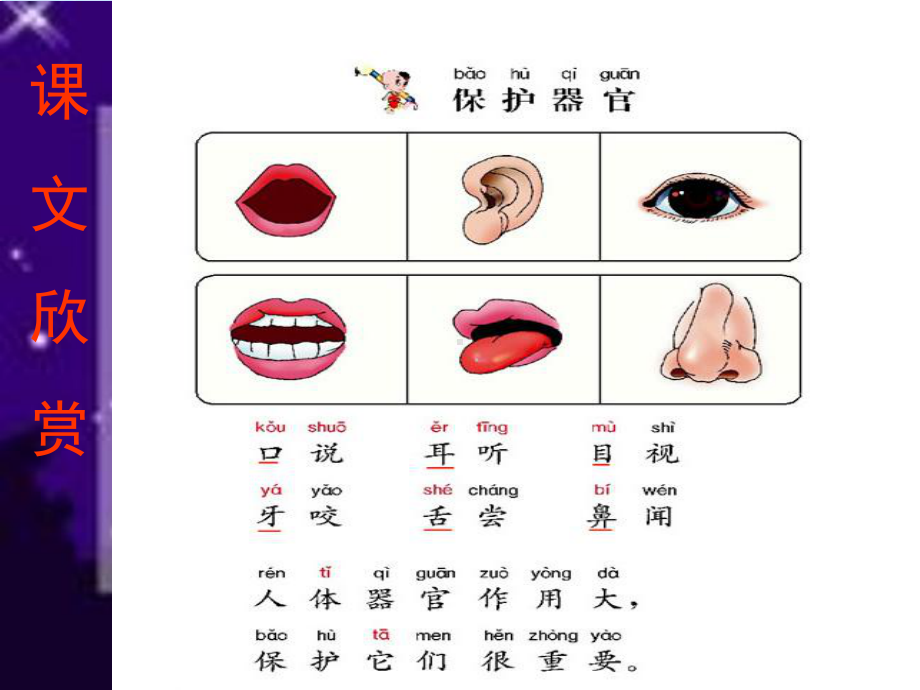 最新保护器官戚粉枝主题讲座课件.ppt_第3页