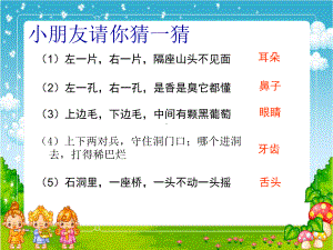 最新保护器官戚粉枝主题讲座课件.ppt