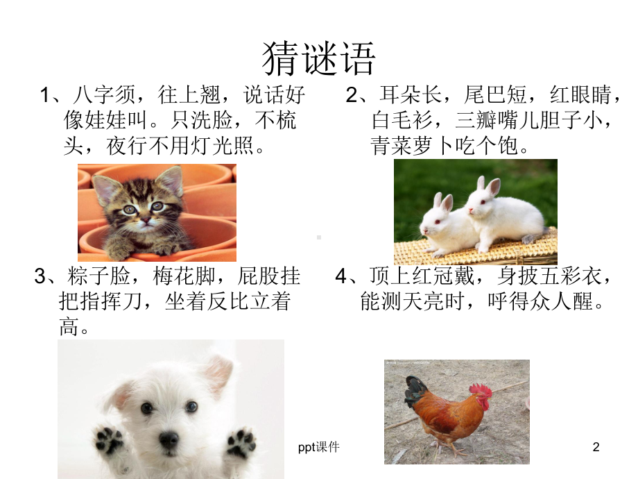 作文指导：我喜欢的小动物-ppt课件.ppt_第2页