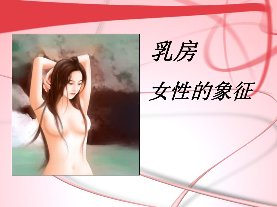 胸部专业知识-ppt课件.ppt_第3页