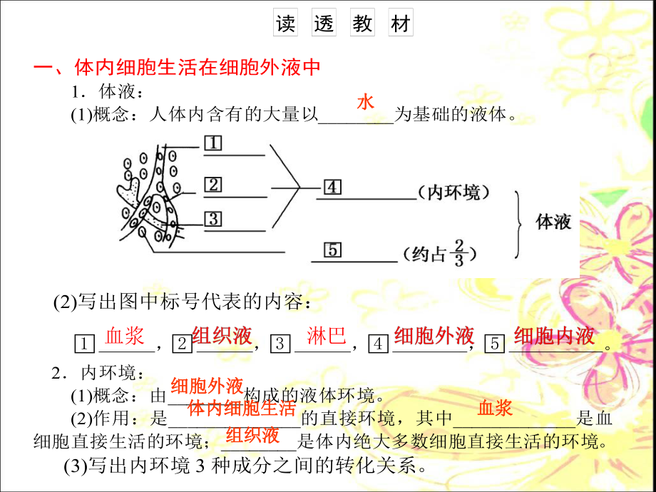 人体的内环境与稳态一轮复习公开PPT课件.ppt_第2页