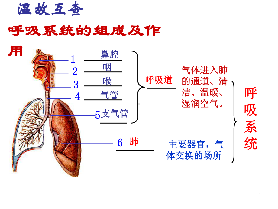 发生在肺内的气体交换ppt课件.ppt_第1页