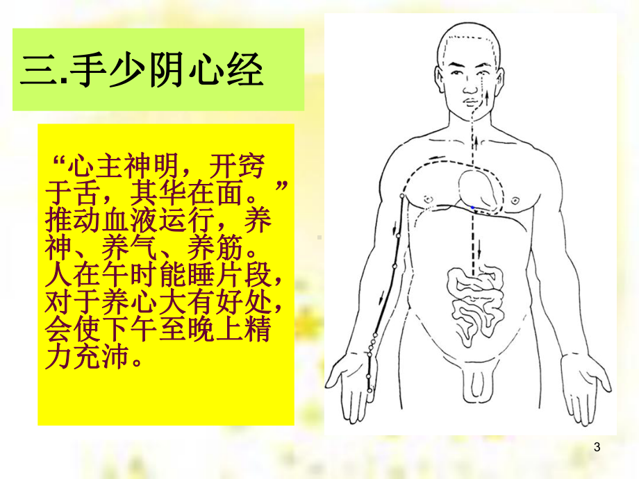 手少阴心经ppt课件.ppt_第3页