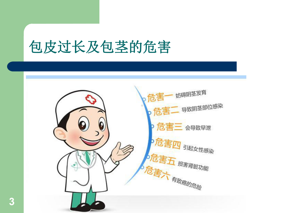 包皮环切术-PPT课件.ppt_第3页