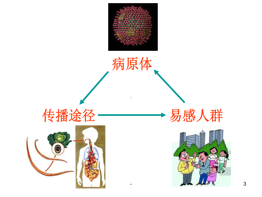 常见传染病及其预防PPT课件.ppt_第3页