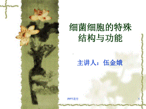 细菌的特殊结构-ppt课件.ppt