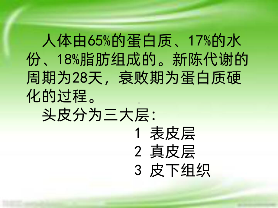 头皮生理学PPT课件.ppt_第2页