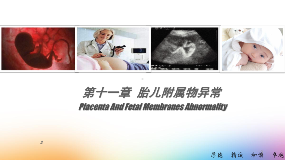 胎心监护的评估PPT课件.ppt_第2页